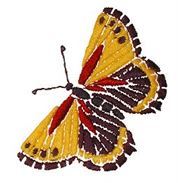 image of embroidered butterfly